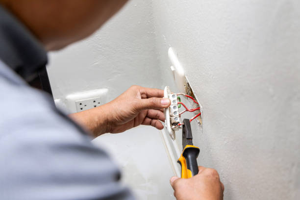 Best Generator Installation Services  in Park Forest, IL